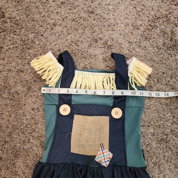 Wizard of Oz Scarecrow Patchwork Straw Hay Dress Halloween Costume w/Hat S/4-6 - Picture 8 of 10
